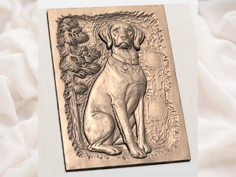 Brittany Spaniel  Dog File view 2
