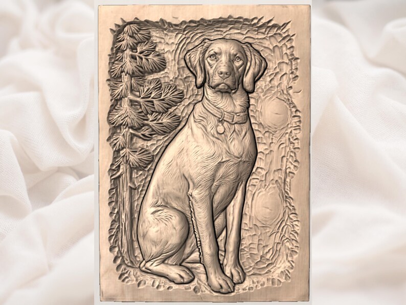 Brittany Spaniel  Dog File view 3