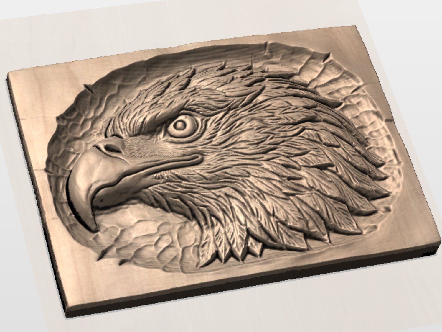 Bald Eagle 3D Relief Wall Art bas-relief STL — view 4