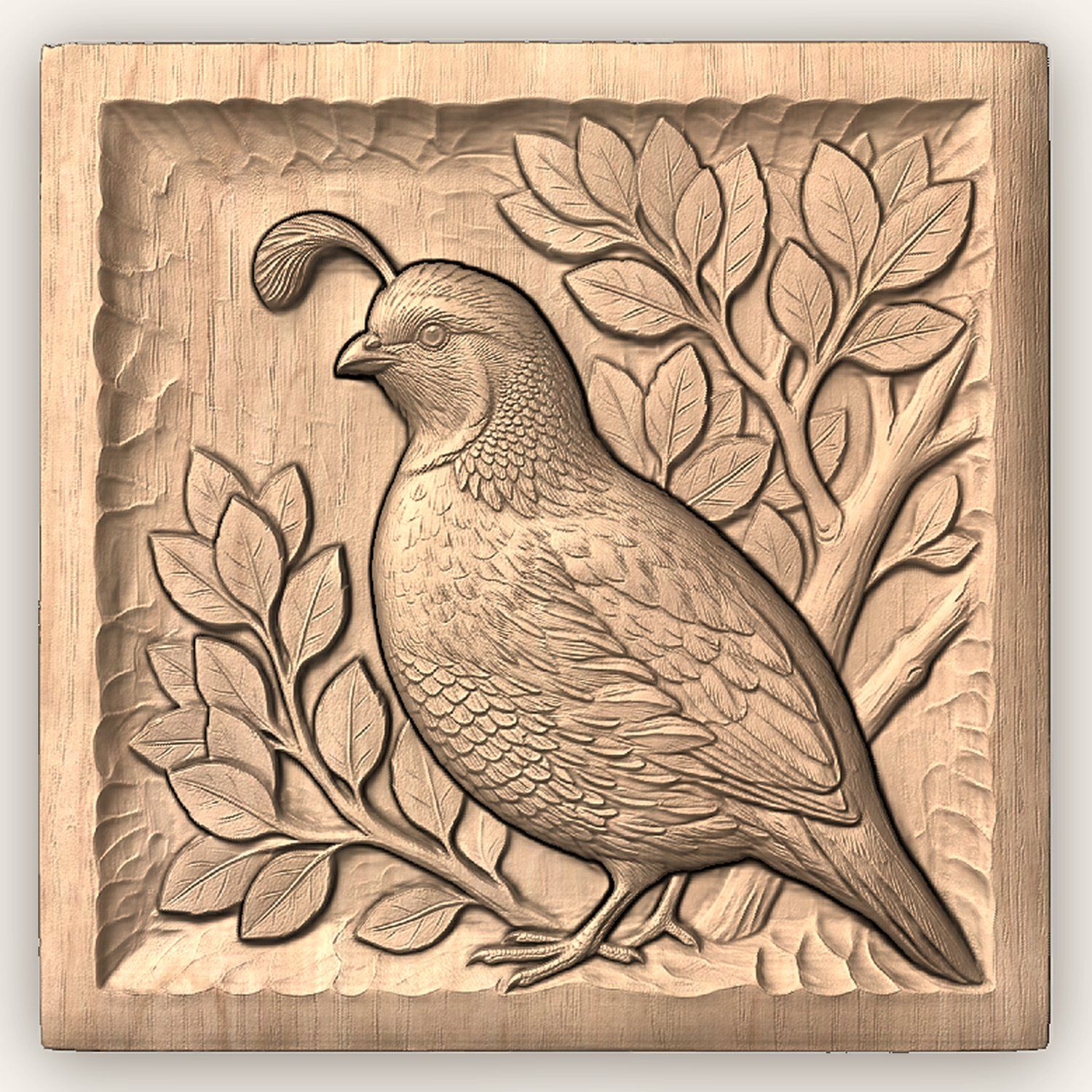 California Quail Bird Wildlife CNC Relief STL bas-relief STL — view 3