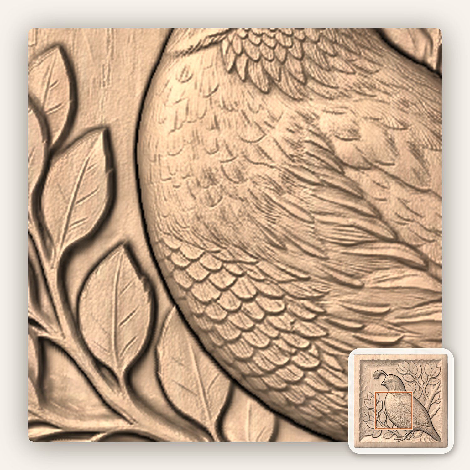 California Quail Bird Wildlife CNC Relief STL bas-relief STL — view 6
