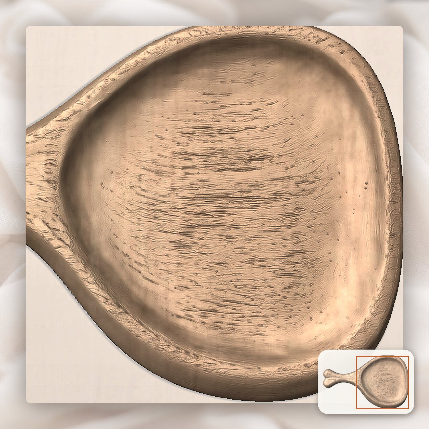 Chicken Drumstick Bowl Dish CNC Relief STL bas-relief STL — view 6
