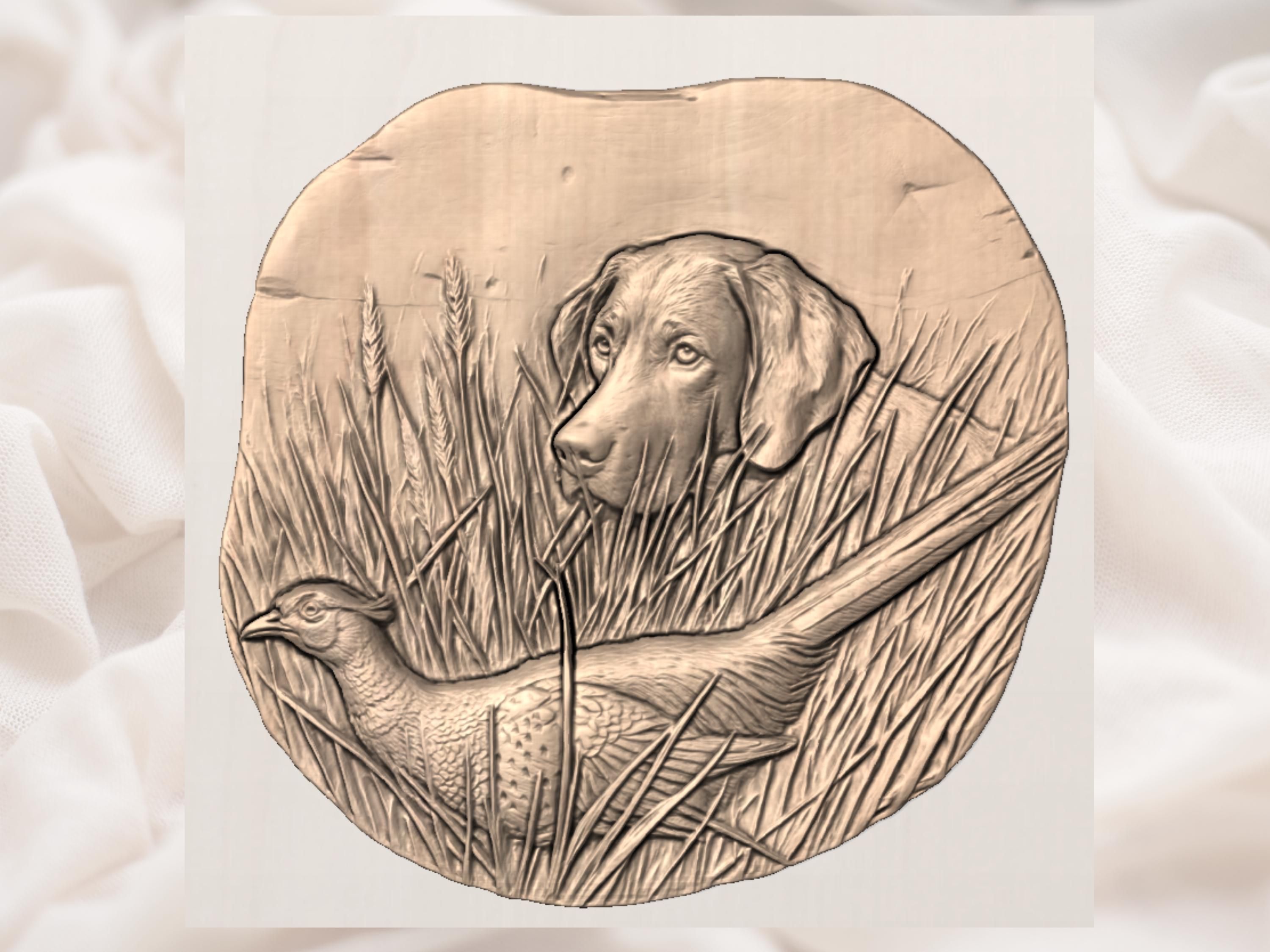Hunting Lab and Pheasant Bas-Relief STL in Tall Grass bas-relief STL — view 3