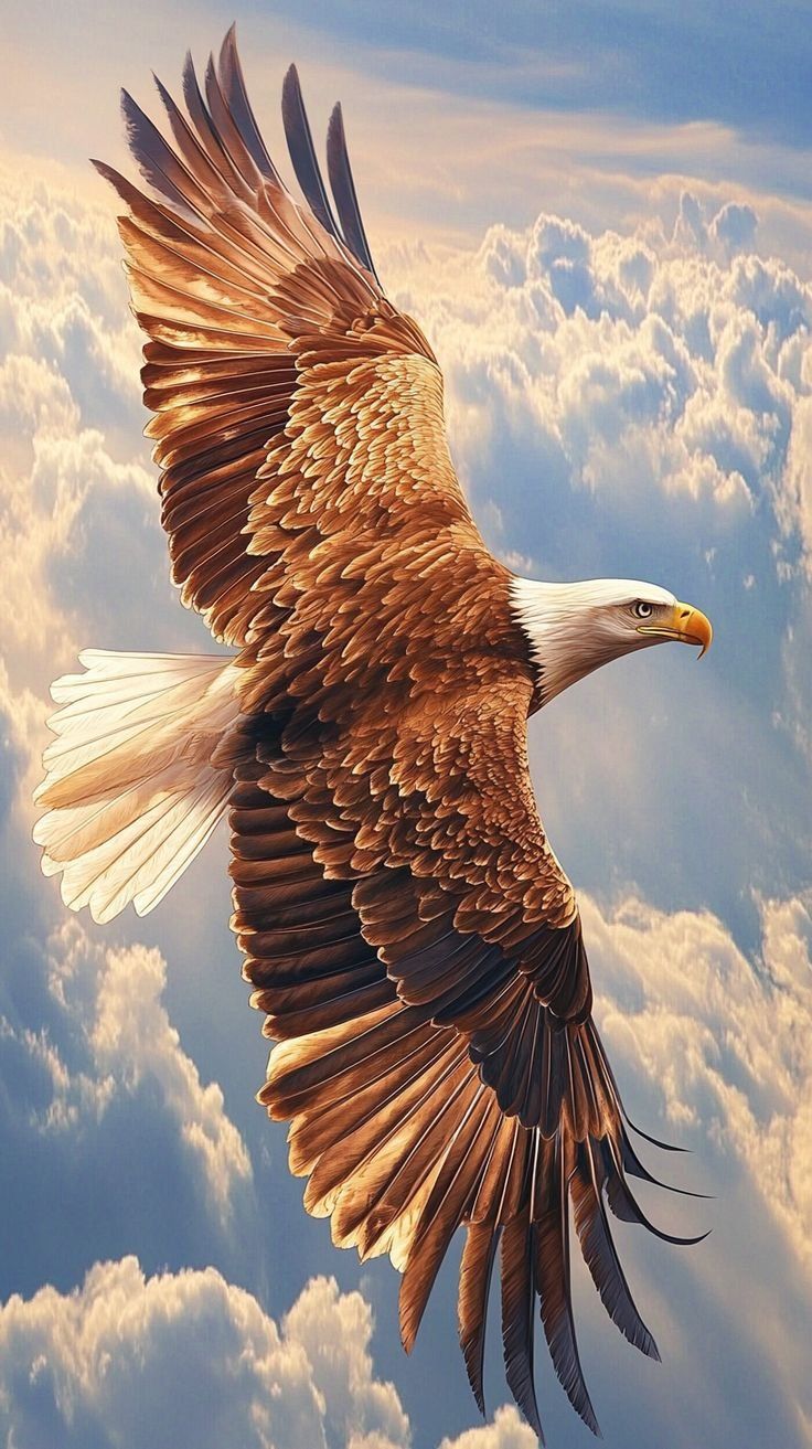 Majestic Soaring Bald Eagle CNC Relief STL bas-relief STL — view 13