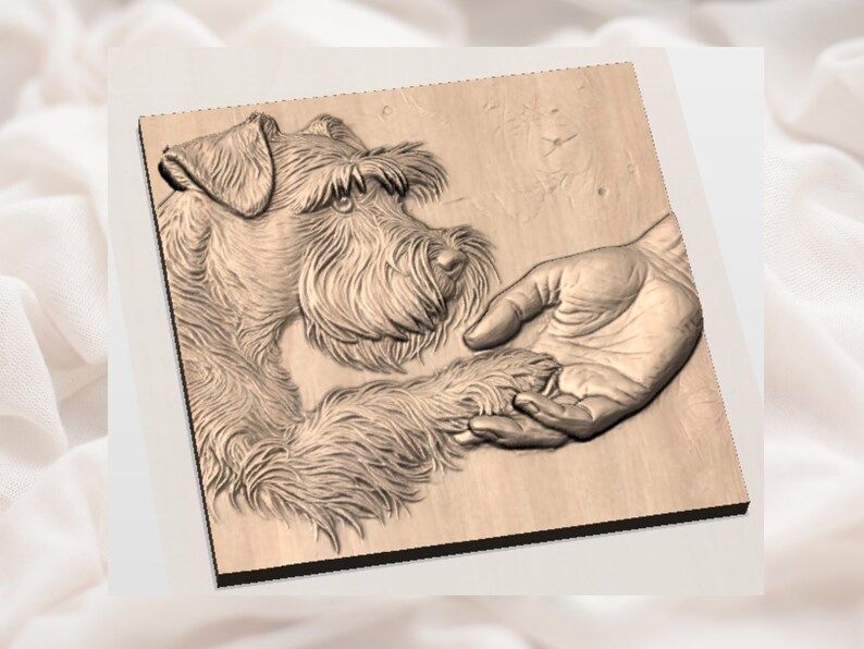 Schnauzer Paw in Human Hand Bas-Relief STL for CNC bas-relief STL — view 3