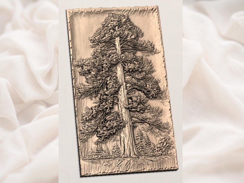 Towering Old Growth Pine Tree Bas-Relief STL for CNC bas-relief STL — view 2