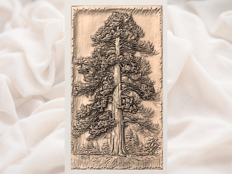 Towering Old Growth Pine Tree Bas-Relief STL for CNC bas-relief STL — view 3